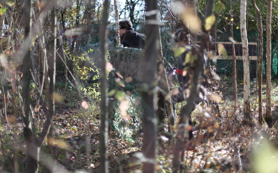 Action, auch im Winter!